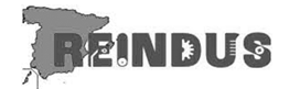 logo reindus